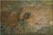 Found object 10