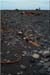 Found object 11