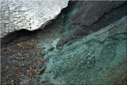 Greenn-03.jpg