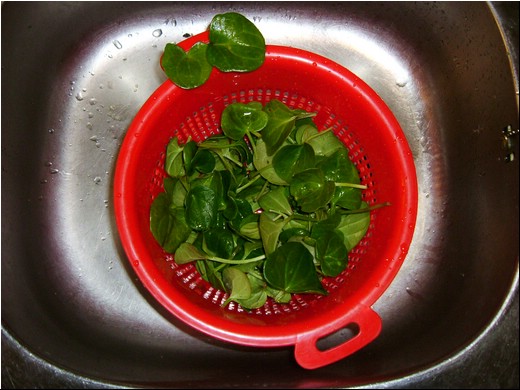 Raud-greenn01.JPG