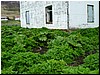 Greenn-02.JPG