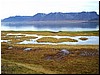 Vestfirðir gallerí 02-05.JPG