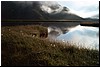 Waters25.jpg