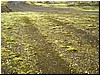 utanvega2004-07.jpg