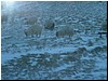 Janúar-februar veður02.JPG
