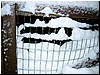 Janúar-februar veður03.JPG
