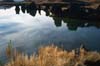 Myvatn4