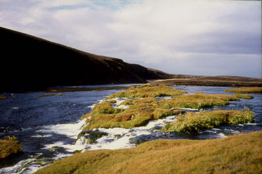 Fossbrekkur 1978