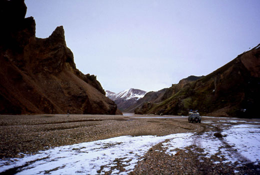 Háskerðingur sér í Kaldaklof 