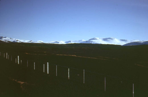 Sölvahraun 1984