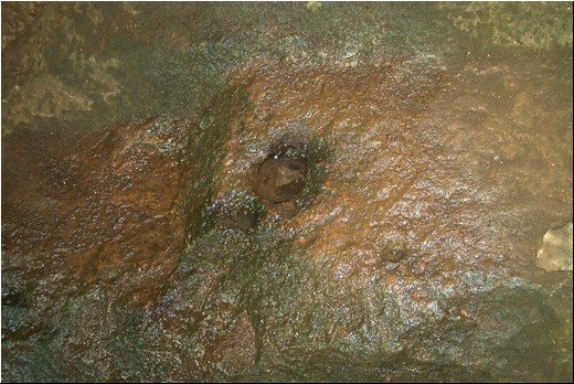 Found object 10