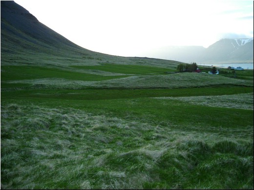 Steinar-fjöll42.jpg