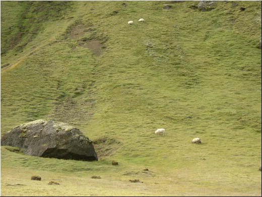 Steinar-fjöll43.jpg
