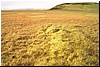Steinar-fjöll21.jpg