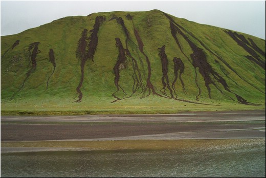 Greenn-04.jpg
