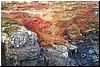 Raud-06.jpg
