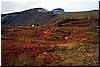 Raud-07.jpg