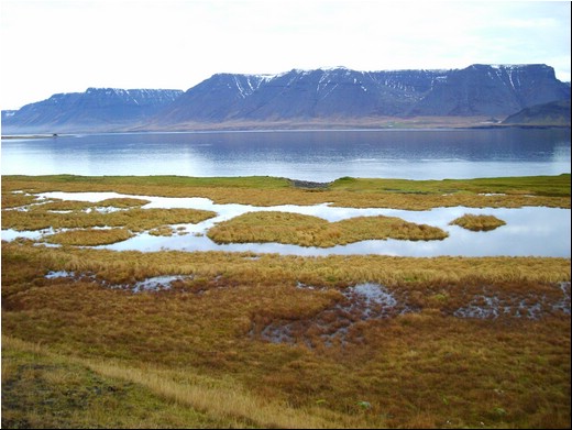 Vestfirðir gallerí 02-05.JPG