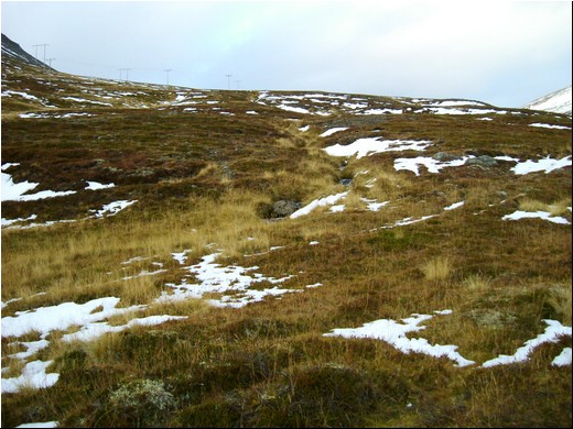Vestfirðir gallerí 02-66.jpg