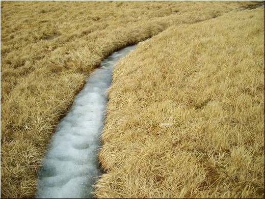 Waters10.JPG