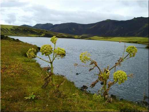 Waters12.JPG