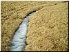 Waters10.JPG