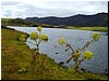 Waters12.JPG