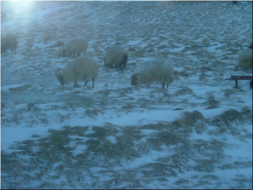 Janúar-februar veður02.JPG