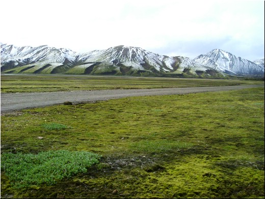 Júní veður06.JPG