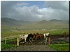 September-óktóber veður04.JPG