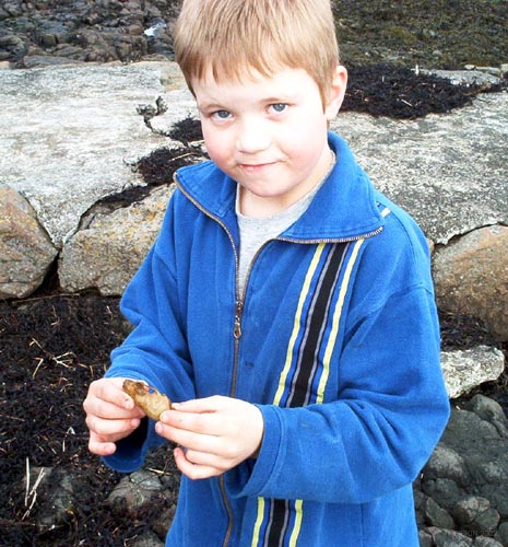 Einar-Þorri