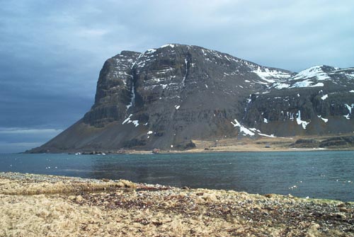 Kaldbakur