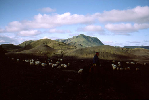 Á Dómadalshrauni 1983