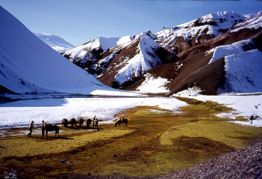 Í Kaldaklofi 