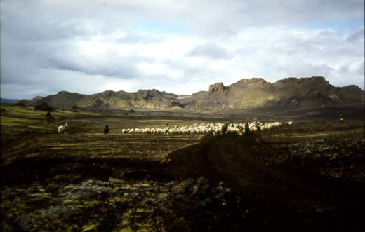 Safnið við Valahnúka