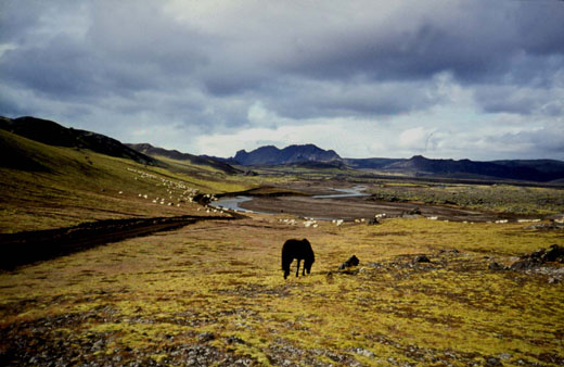 Safnið við lambafótahraun