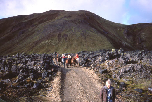 Í Fjallferð 1983 