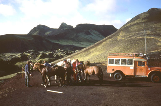 Í Námshrauni 