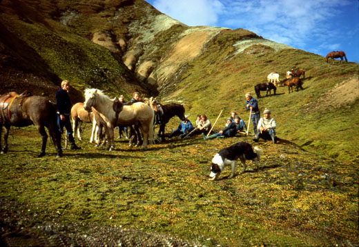Hvíld við aðhaldið 