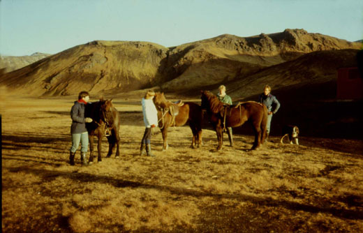 Leit  2-1983