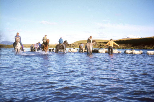 Rekið yfir Rangá