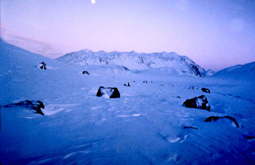 Loðmundur